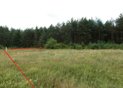 Parduodamas kitos paskirties sklypas Senųjų Viečiūnų g., Viečiūnų k., Druskininkų sav., 62.06 a ploto