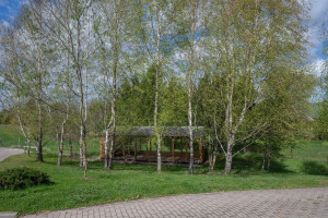 Parduodamas namas Dvarčėnų k., Alytaus r. sav., 559 m2 ploto, 2 aukštai 20