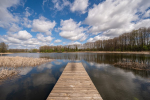 Parduodamas namas Dvarčėnų k., Alytaus r. sav., 559 m2 ploto, 2 aukštai 22