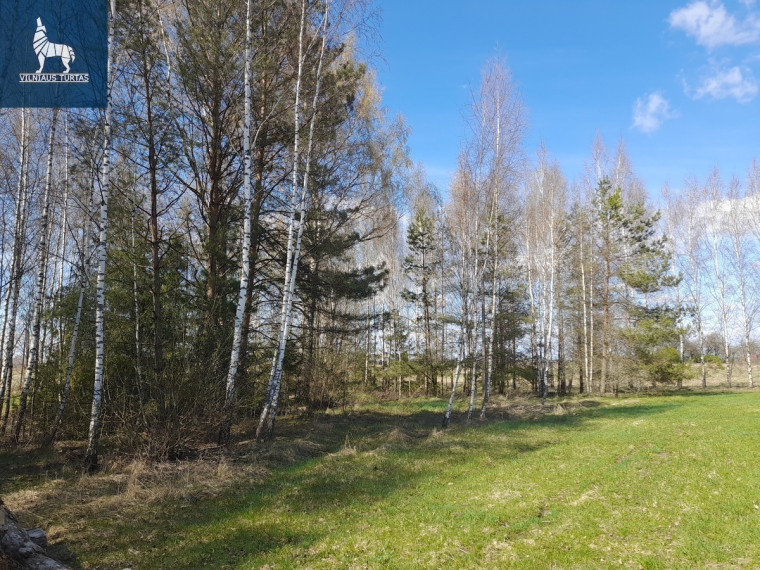 Parduodamas  sklypas Meiliakalnio, Gudulinės k., Širvintų r. sav., 55 a ploto 2