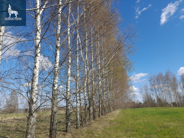Parduodamas  sklypas Meiliakalnio, Gudulinės k., Širvintų r. sav., 55 a ploto 9