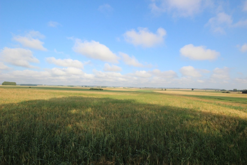 Parduodamas  sklypas Trako g., Tiltagalių k., Panevėžio r. sav., 2205 a ploto 2