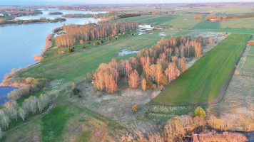 Parduodamas  sklypas Jakštaičių g., Meškių k., Šiaulių r. sav., 292 a ploto 6