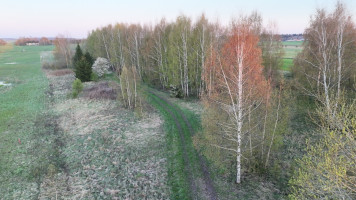Parduodamas  sklypas Jakštaičių g., Meškių k., Šiaulių r. sav., 292 a ploto 9