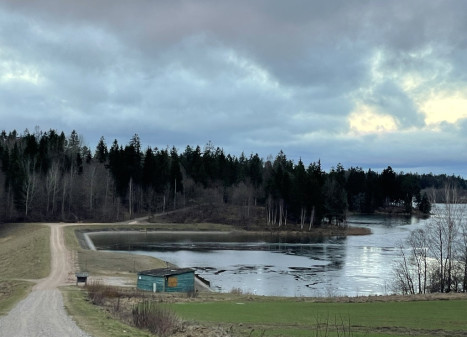 Parduodamas žemėje Dieviškas kampelis, Šiaulių raj. Bubių k.,