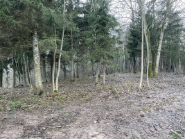 Parduodamas žemėje Dieviškas kampelis, Šiaulių raj. Bubių k., 8