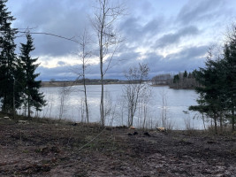 Parduodamas žemėje Dieviškas kampelis, Šiaulių raj. Bubių k., 9