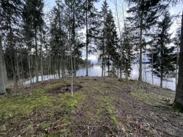 Parduodamas žemėje Dieviškas kampelis, Šiaulių raj. Bubių k., 10
