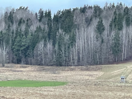 Parduodamas žemėje Dieviškas kampelis, Šiaulių raj. Bubių k., 11