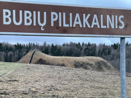 Parduodamas žemėje Dieviškas kampelis, Šiaulių raj. Bubių k., 13
