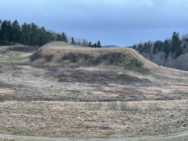 Parduodamas žemėje Dieviškas kampelis, Šiaulių raj. Bubių k., 14