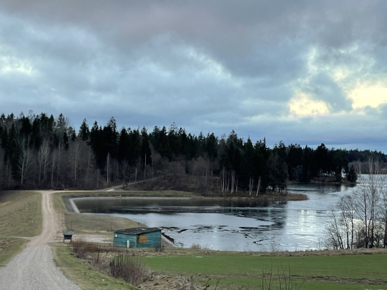 Parduodamas žemėje Dieviškas kampelis, Šiaulių raj. Bubių k., 8