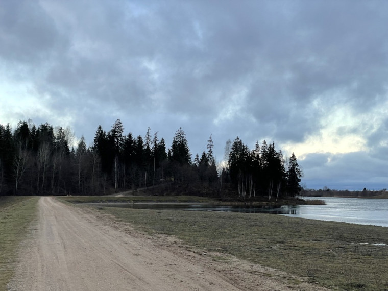 Parduodamas žemėje Dieviškas kampelis, Šiaulių raj. Bubių k., 10