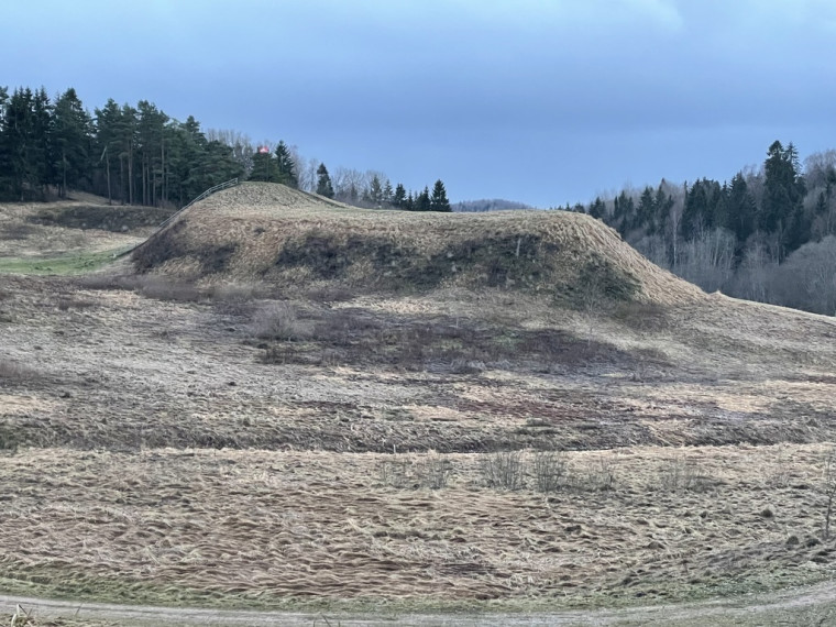 Parduodamas žemėje Dieviškas kampelis, Šiaulių raj. Bubių k., 14