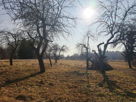Parduodamas namas Rubikių k., Anykščių r. sav., 44.96 m² ploto 2 kambariai 11