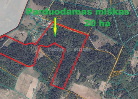 Parduodamas miškų ūkio paskirties sklypas Jurgoniškių k., Kelmės r. sav., 2000 a ploto