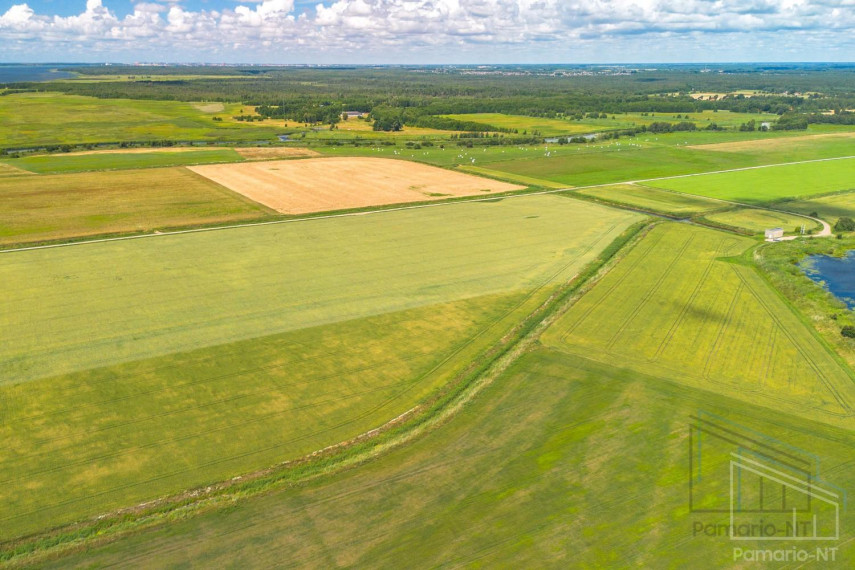 Parduodamas sklypas Drevernos k., Klaipėdos r. sav., 62.32 a ploto 6