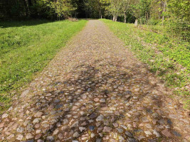 Parduodamas sklypas Marimanto k., Zarasų r. sav., 384.00 a ploto 10