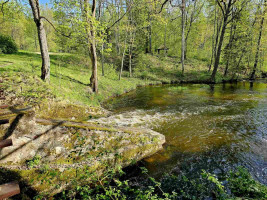 Parduodamas sklypas Marimanto k., Zarasų r. sav., 384.00 a ploto 16