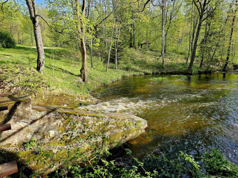 Parduodamas sklypas Marimanto k., Zarasų r. sav., 384.00 a ploto 16
