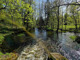 Parduodamas sklypas Marimanto k., Zarasų r. sav., 384.00 a ploto 17