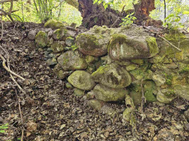 Parduodamas sklypas Marimanto k., Zarasų r. sav., 384.00 a ploto 21