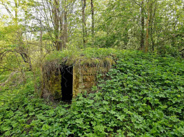 Parduodamas sklypas Marimanto k., Zarasų r. sav., 384.00 a ploto 22
