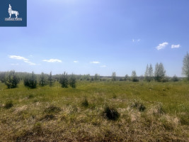 Parduodamas  sklypas Tarnėnų k., Vilniaus r. sav., 93 a ploto 9