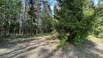 Parduodamas  sklypas Labanoro mstl., Švenčionių r. sav., 396.06 a ploto 9