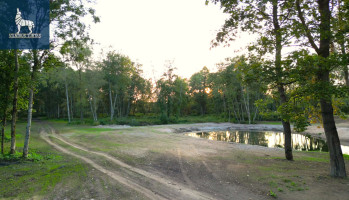 Parduodamas  sklypas Laičių k., Molėtų r. sav., 506 a ploto 3