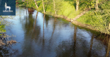 Parduodamas  sklypas Laičių k., Molėtų r. sav., 506 a ploto 17