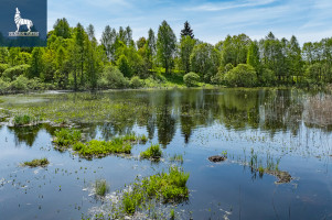 Parduodamas  sklypas Karkažiškių k., Molėtų r. sav., 120.06 a ploto 19