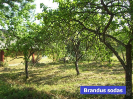 Parduodamas namas Kirkėnų k., Kupiškio raj. 18