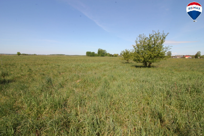 Parduodamas sklypas J. Basanavičiaus g., Radviliškyje, 224 a ploto 3