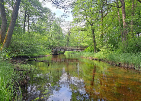 Parduodamas namas Vaišnoriškės k., Utenos r. sav., 80.00 m² ploto 1 kambarys