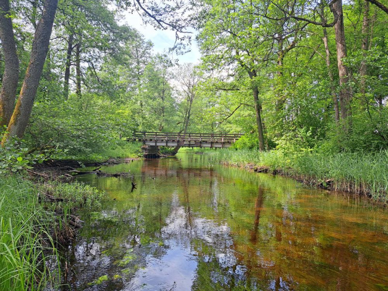 Parduodamas namas Vaišnoriškės k., Utenos r. sav., 80.00 m² ploto 1 kambarys 1