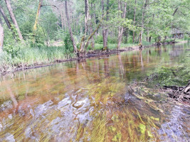 Parduodamas namas Vaišnoriškės k., Utenos r. sav., 80.00 m² ploto 1 kambarys 4