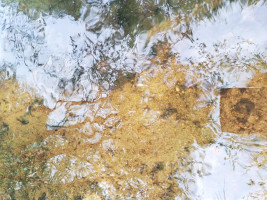 Parduodamas namas Vaišnoriškės k., Utenos r. sav., 80.00 m² ploto 1 kambarys 5