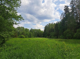 Parduodamas namas Vaišnoriškės k., Utenos r. sav., 80.00 m² ploto 1 kambarys 6