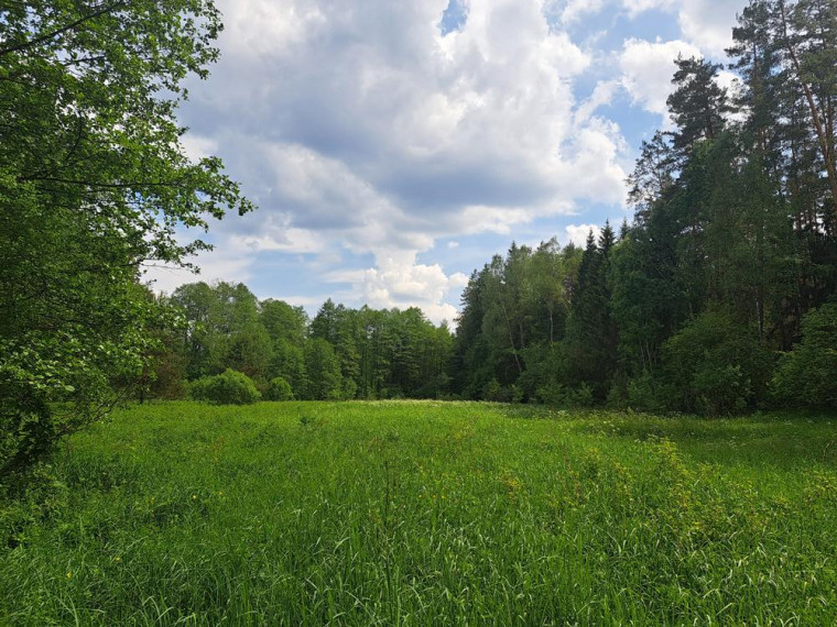 Parduodamas namas Vaišnoriškės k., Utenos r. sav., 80.00 m² ploto 1 kambarys 6