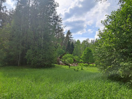 Parduodamas namas Vaišnoriškės k., Utenos r. sav., 80.00 m² ploto 1 kambarys 7