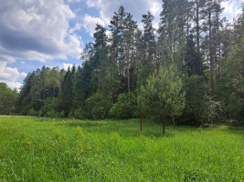 Parduodamas namas Vaišnoriškės k., Utenos r. sav., 80.00 m² ploto 1 kambarys 9