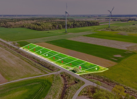 Parduodamas  sklypas Pušų , Kiauleikių k., Kretingos r. sav., 11 a ploto