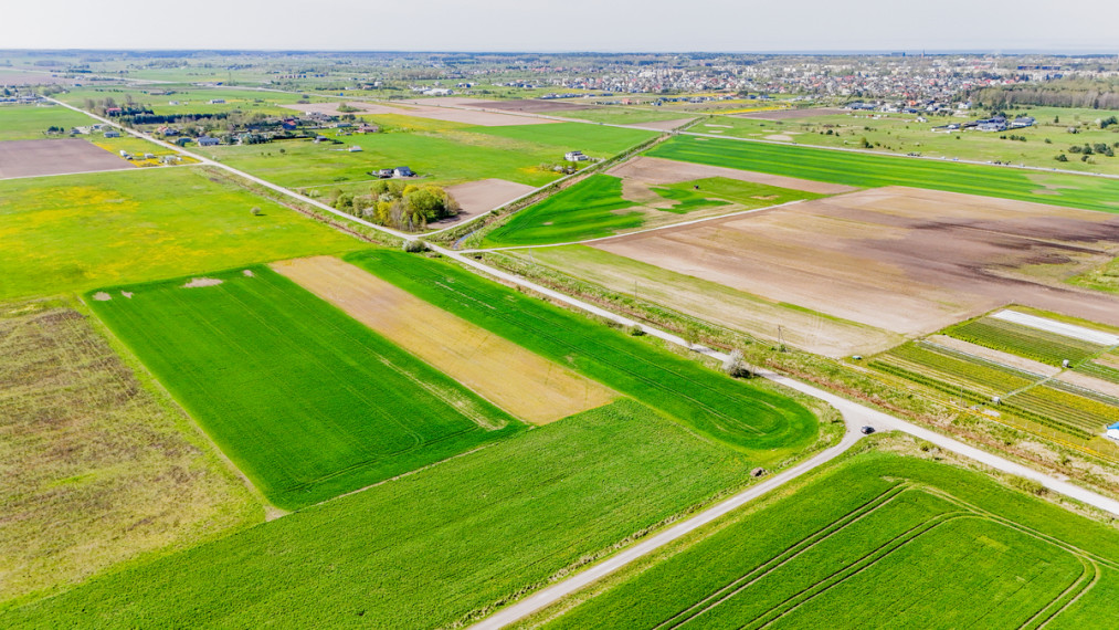 Parduodamas sklypas Pušų , Kiauleikių k., Kretingos r. sav., 11 a ploto 2