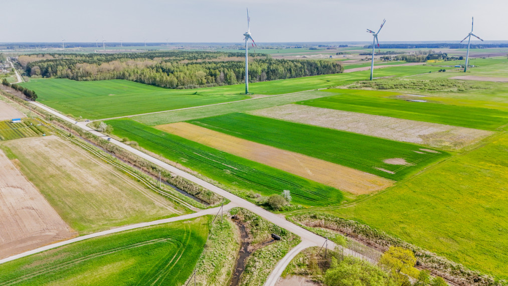 Parduodamas sklypas Pušų , Kiauleikių k., Kretingos r. sav., 11 a ploto 3