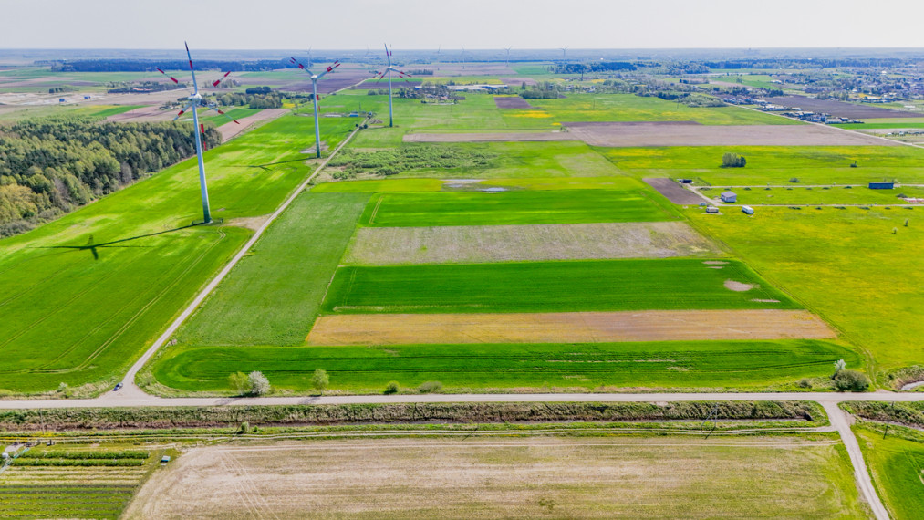 Parduodamas sklypas Pušų , Kiauleikių k., Kretingos r. sav., 11 a ploto 5