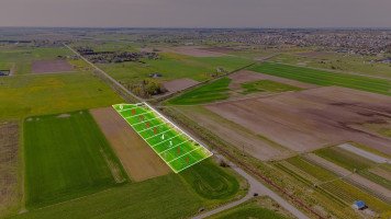 Parduodamas  sklypas Pušų , Kiauleikių k., Kretingos r. sav., 11 a ploto 6