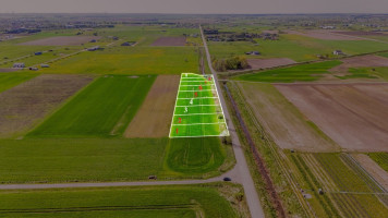 Parduodamas  sklypas Pušų , Kiauleikių k., Kretingos r. sav., 11 a ploto 8