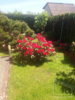 Parduodamas namas Žiaukų k., Klaipėdos r. sav., 79.00 m² ploto 3 kambariai 15