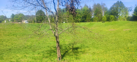 Parduodamas sklypas Raudoniškių k., Trakų r. sav., 41.80 a ploto 10